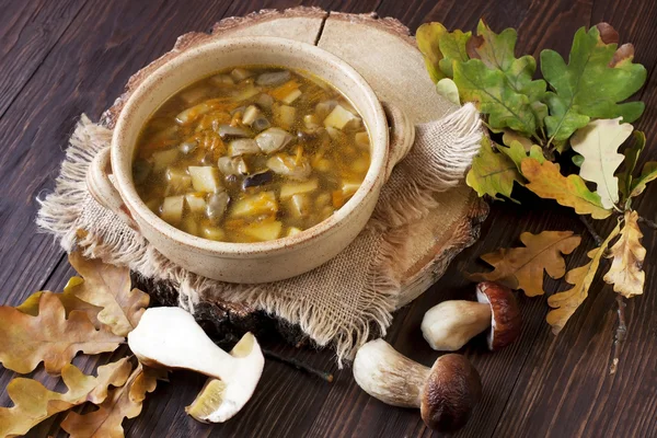 Zuppa di funghi in ciotola di ceramica — Foto Stock