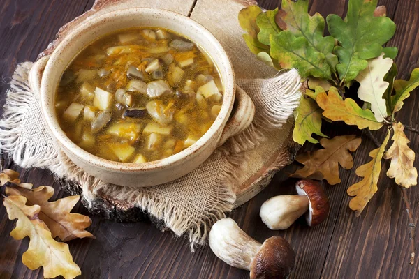 Una tazza di zuppa di funghi freschi — Foto Stock