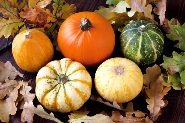 Fresh pumpkins on wooden table — Stock Photo, Image