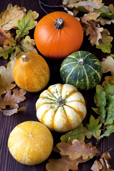 Fresh pumpkins on wooden table — Stock Photo, Image