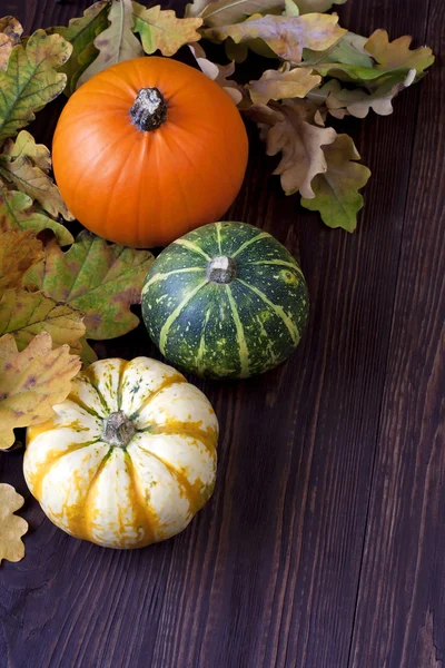 Fresh pumpkins on wooden table — Stock Photo, Image