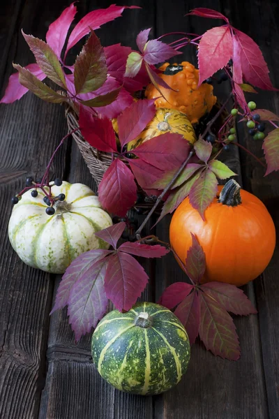 Fresh pumpkins on wooden table — Stock Photo, Image