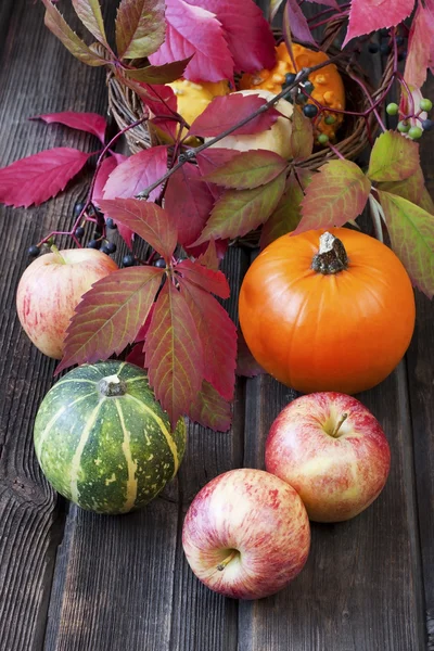 Bodegón con calabazas de colores — Foto de Stock