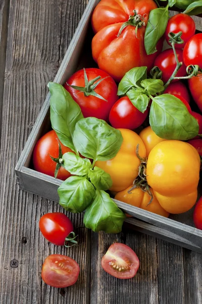 Čerstvá rajčata v dřevěné krabici — Stock fotografie