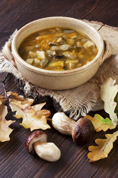 Mushroom soup in ceramic bowl — Stock Image Mushroom soup in ceramic bowl Stock Image