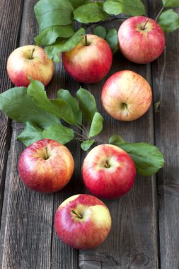 Natürmort renkli elmalı