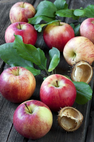 Höstens äpplen med blad på träskiva — Stockfoto