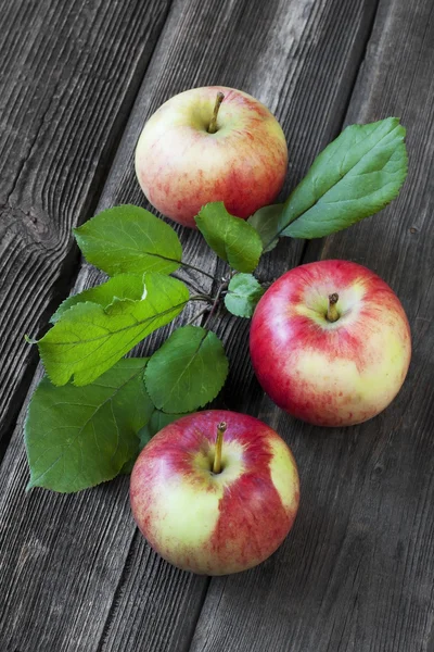 Νεκρή φύση με μήλα πολύχρωμο — Φωτογραφία Αρχείου