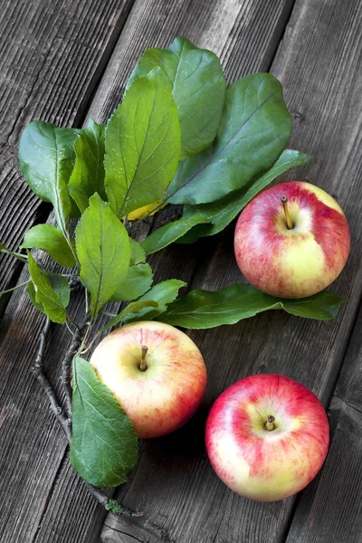 カラフルなリンゴのある静物 — ストック写真