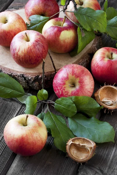 木の板の葉と秋りんご — ストック写真