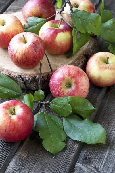 リンゴの新鮮な収穫 — ストック写真