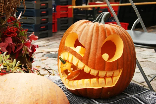 küçük balkabakları