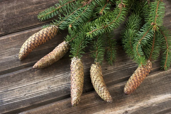 Rama del árbol de Navidad en madera vieja — Foto de Stock