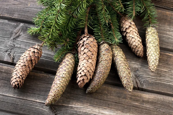 Rama del árbol de Navidad en madera vieja — Foto de Stock