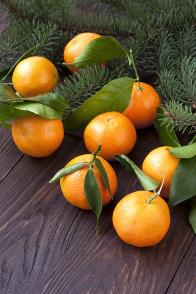 Citrus fruits on wooden background — Stock Photo, Image