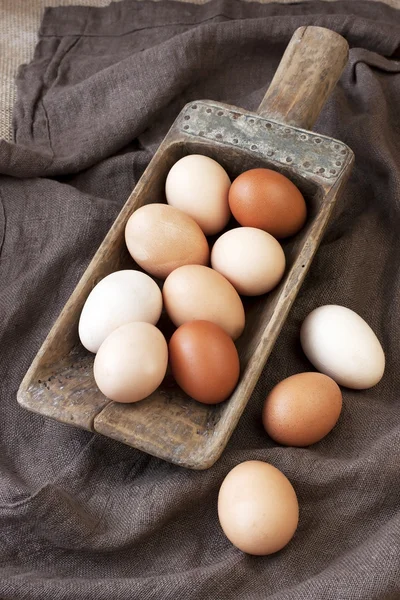 Färgglada hönsägg — Stockfoto