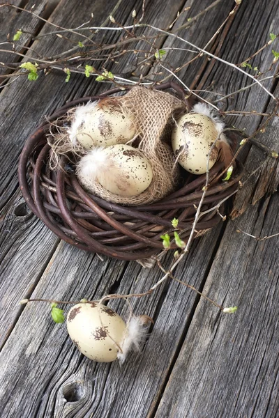 Påsk sammansättning med ägg och våren grenar — Stockfoto