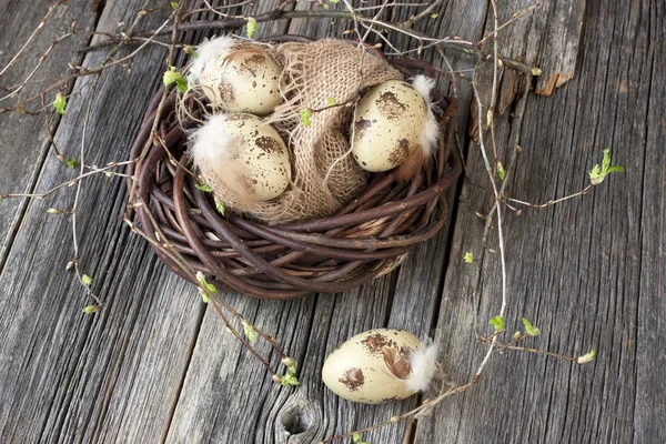 Composición de Pascua con huevos y ramas de primavera — Foto de Stock