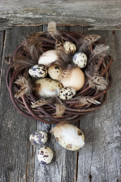 Påsk festliga bakgrund med ägg — Stockfoto