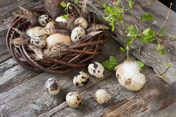 Huevos de Pascua sobre tabla de madera — Foto de Stock