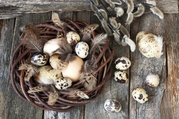 Œufs de Pâques sur planche de bois — Photo