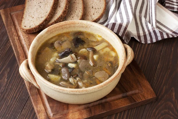 Zuppa di funghi in ciotola di ceramica — Foto Stock