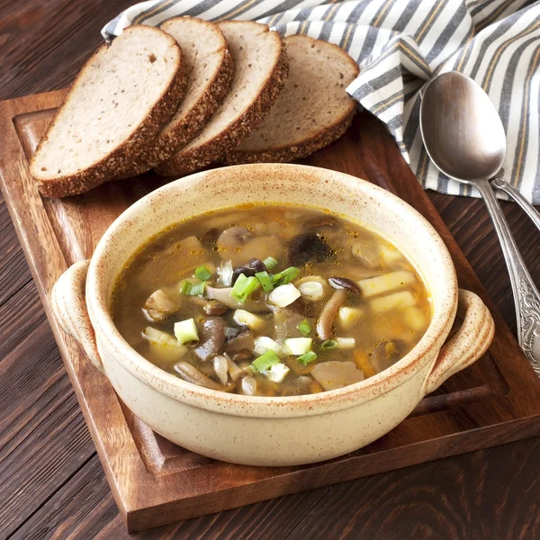 Zuppa di funghi in ciotola di ceramica — Foto Stock