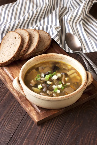 Suppe mit Pilzen — Stockfoto