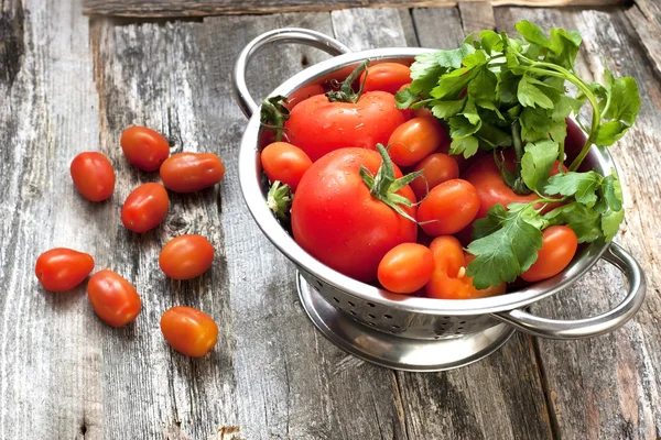 Tomates frescos — Fotografia de Stock