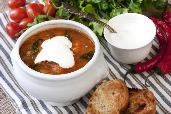 Traditional Russian sour cabbage soup — Stock Photo, Image