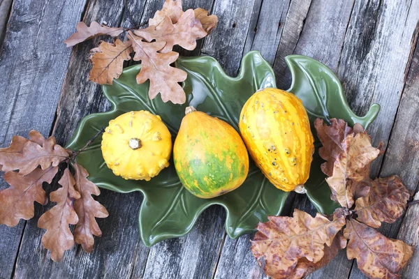 Citrouilles fraîches sur table en bois — Photo