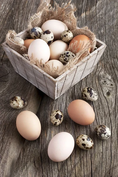 チキンのカラフルな卵 — ストック写真
