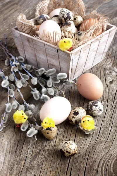 Fresh eggs. Easter theme — Stock Photo, Image