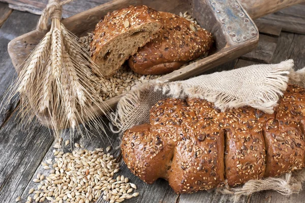 Variety of bread — Stock Photo, Image