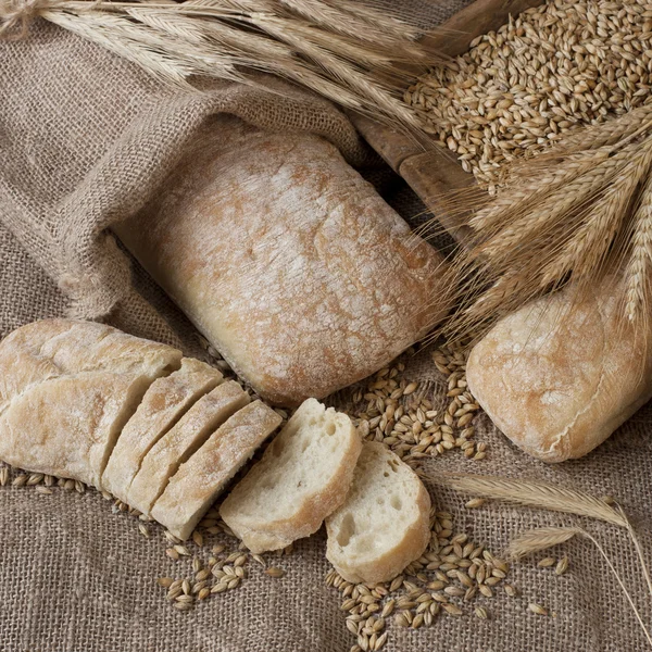 Ciabatta  and baquette with ears on the burlap — Stock Photo, Image