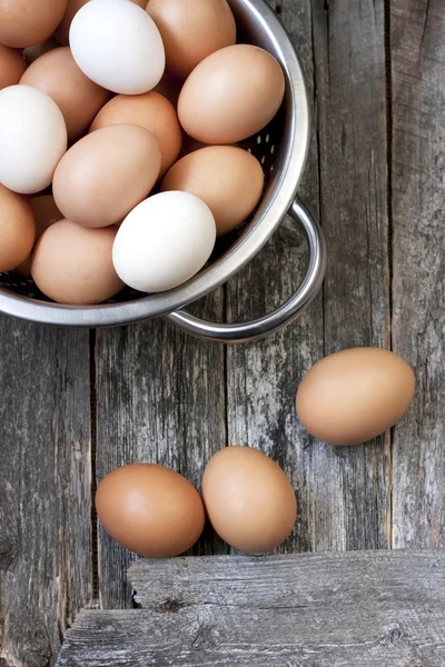 Färgglada hönsägg — Stockfoto