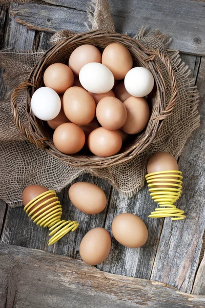 Huhn bunte Eier — Stockfoto