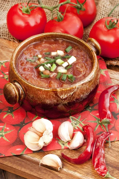 Russian-ukrainian  cuisine -  soup borscht — Stock Photo, Image