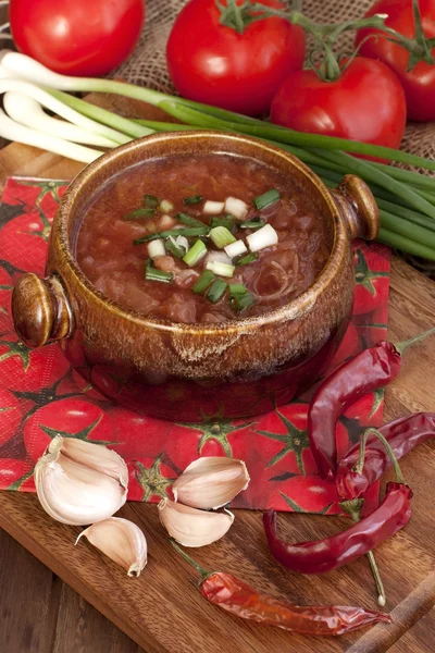 Украинский и российский национальный борщ красного супа — стоковое фото