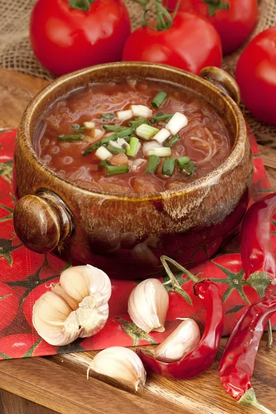 Barszcz ukraiński i rosyjski krajowych zupa czerwony — Zdjęcie stockowe
