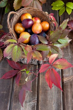 Tahta masada taze erikler.