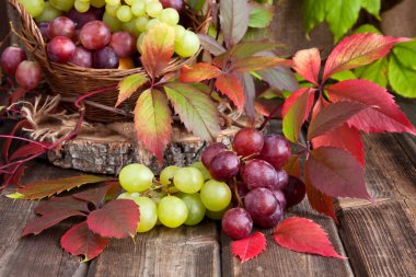 Ahşap masa üzerinde renkli üzüm