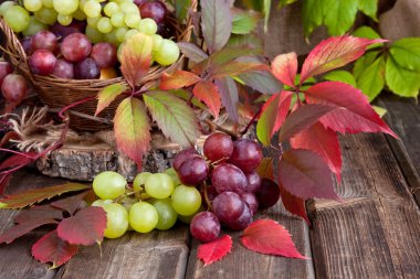 Ahşap masa üzerinde renkli üzüm