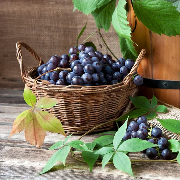 Цветной виноград на деревянном столе — стоковое фото