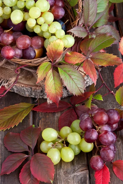 Ahşap masa üzerinde renkli üzüm — Stok fotoğraf