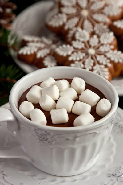 Caneca cheia de chocolate quente e marshmallows e biscoitos de gengibre — Fotografia de Stock