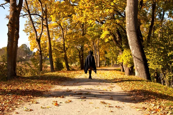 Bella donna sulla strada di autunno — Foto Stock