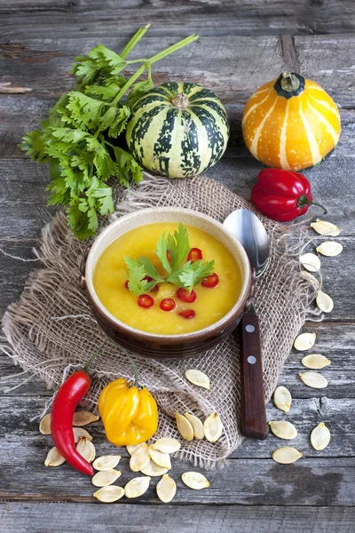 Domácí podzimní squash polévka — Stock fotografie