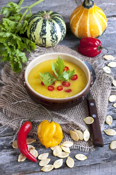 Sopa de calabaza con calabazas frescas — Foto de Stock