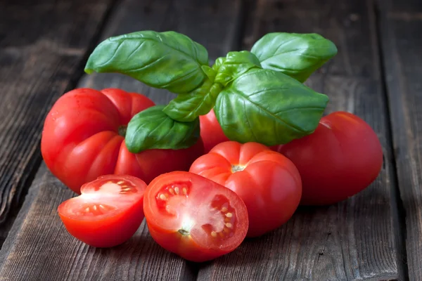 Taze domates fesleğen ile — Stok fotoğraf